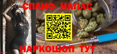 прущие грибы Краснодар