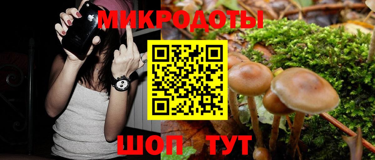 как найти   Вход с VPN  Псилоцибиновые грибы мухоморы  Красноперекопск  Псилоцибиновые грибы мицелий 
